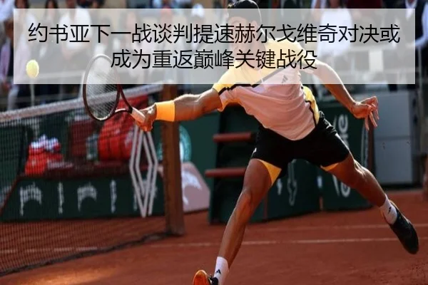 约书亚下一战谈判提速赫尔戈维奇对决或成为重返巅峰关键战役