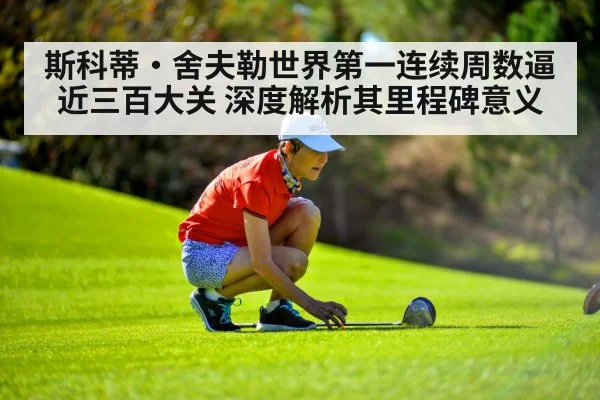 斯科蒂·舍夫勒世界第一连续周数逼近三百大关 深度解析其里程碑意义