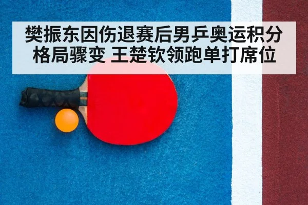table tennis racket
