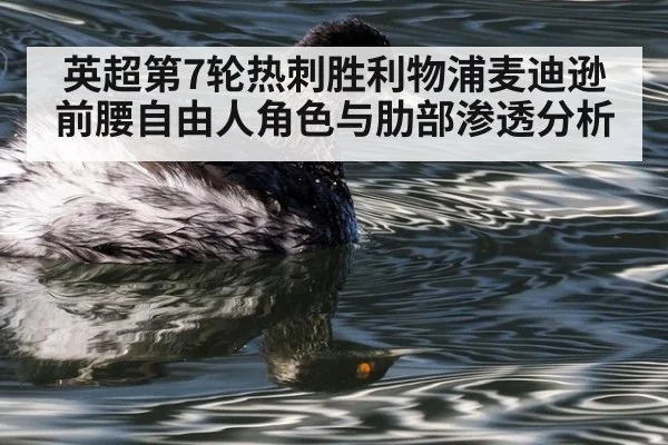 英超第7轮热刺胜利物浦麦迪逊前腰自由人角色与肋部渗透分析
